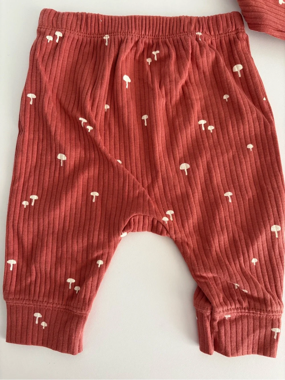 cloud island Rust Ribbed Mushroom Print Baby Bodysuit & Pants Set 0-3